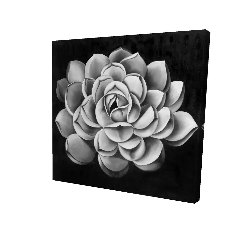 360 Stand Black & White Succulent Plant Wall Print Photo, 24x24 in. Minimalist Canvas Art - Bedroom Home Decor, Decoration, High Def, Monochrome Bedroom Decor, Tranquility, Room Decorations, 24 X 24 In., Durable, Modern, Plants
