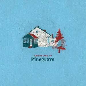 Pinegrove - Amperland Ny  [COMPACT DISC - CD]