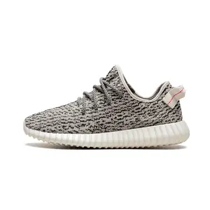 Yeezy Boost 350 "Turtle Dove" AQ4832