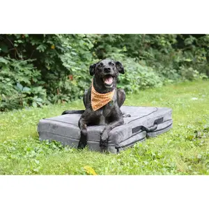 Fold-N-Go Travel Dog Bed