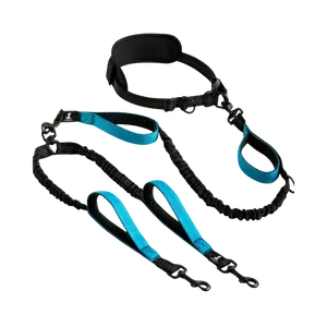 Hands-Free Double Dog Leash with Padded Comfort Tangle-Free Adjustable Dual Lead Swivel Clasp for Walking Two Dogs