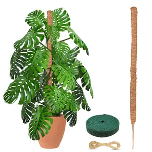 EcoNour 48-Inch Bendable Moss Pole for Plants - Coconut Husk Fiber Plant Support with Water Retention, Heart-Arch Stackable Set for Monstera Climbers, Indoor Garden Supplies