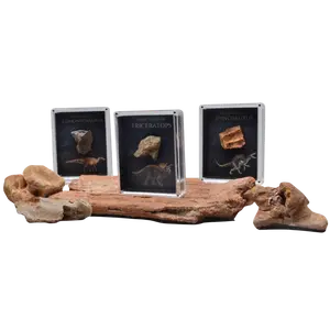 Cretaceous Period Dinosaur Gift Box Bundle