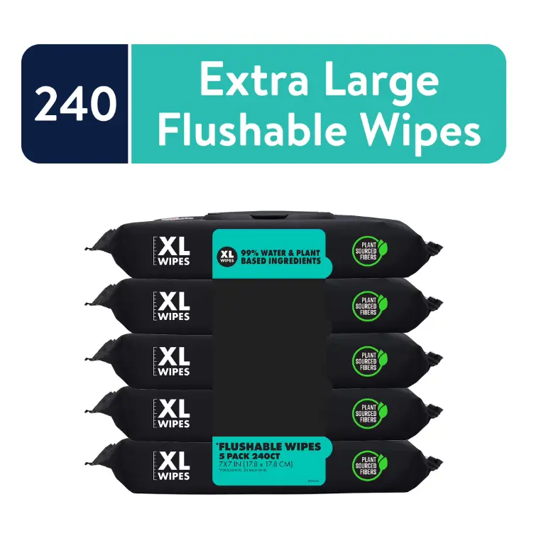 Flushable Mint Chill Wet Wipes, Extra-Large Home Care Wipes, 48-Count per Pack, 5 Packs (240 Total)