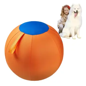 Dog Giant Ball Toy, Full Set of Dog Balls, Golden Retriever Biting Balls, Boredom Relief Balls, Funny Shiba Inu Corgi Self-High Pet Training Balls, Interactive Training Ball