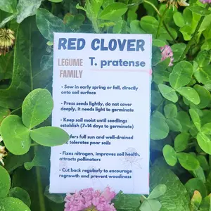 10 Gram Red Clover Sprout Seed Packet