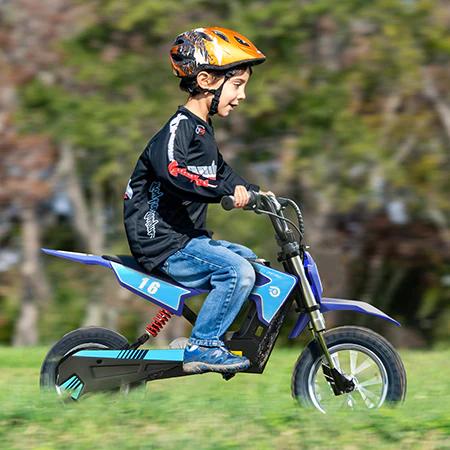 Hiboy DK1 36V Electric Bike,300W Electric Bike - Up to 15.5MPH & 13.7 Miles Long-Range,3-Speed Modes EBike for Kids Ages 3-10