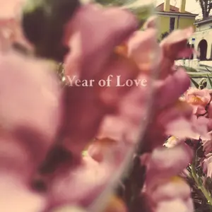 Beta Radio - Year Of Love  [VINYL RECORD - LP] Gatefold LP Jacket