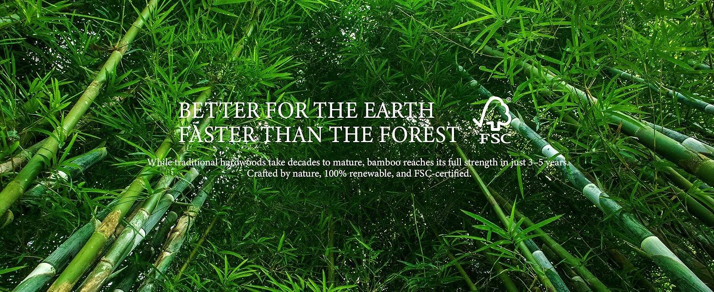 Yechen Bed Frame, Bamboo Platform Bed with Headboard, Noise Free Wood Slats and Metal Beam Support, Easy Assembly with Mortise & Tenon Joint, No Box Spring Needed, Japanese Style, (Queen, King) (Natural, Walnut)