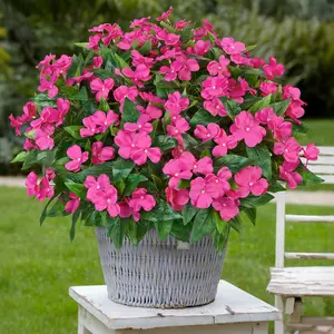 8 Pcs Artificial Flowers for Outdoors, Silk Impatiens Flowers Bouquet Decorations, Fake Faux Plants, Realistic Faux Flowers, UV Resistant, Spring Summer Garden, Artificial Mixed Flower