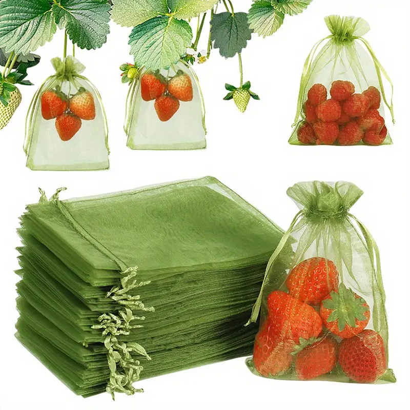 4x6 Inch Green Fruit Protection Drawstring Net Bag Strawberry Blueberry Small Fruit Pest Barrier Mesh Pouch