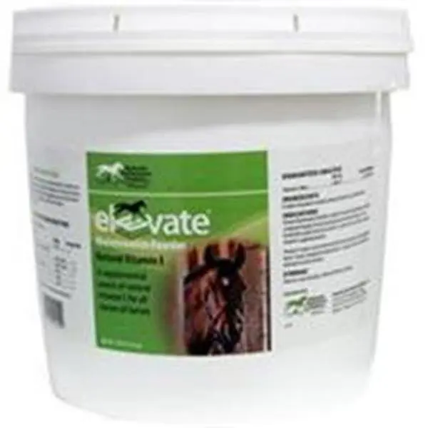 Kentucky Performance Products Elevate Maintenance Powder Supplement for Horses - 10 lbs, Easy-to-Use, Affordable, with Highly Absorbable 9-Alpha Tocopherol Acetate