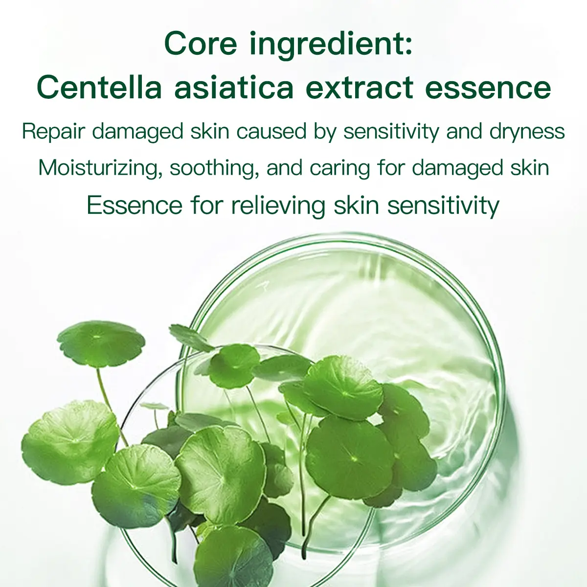 ZX】Centella foam facial mask can remove black and control oil