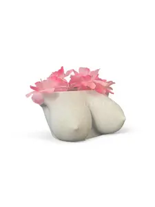 Elegant Boob Flower Pot, Feminine Bust Planter for Indoor Plants, Breast Vase for Succulents, Cacti, Air Plants, Outdoor, Plant Pot for Home Decor