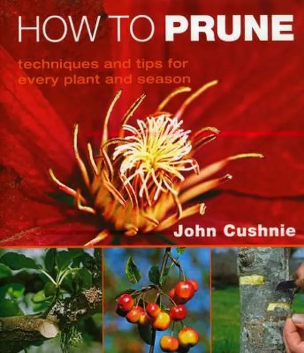 USED-How to Prune: Techniques and Tips for Every Plant and Season by John Cushnie (Hardcover)