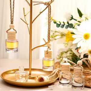 Hanging Car Diffusers