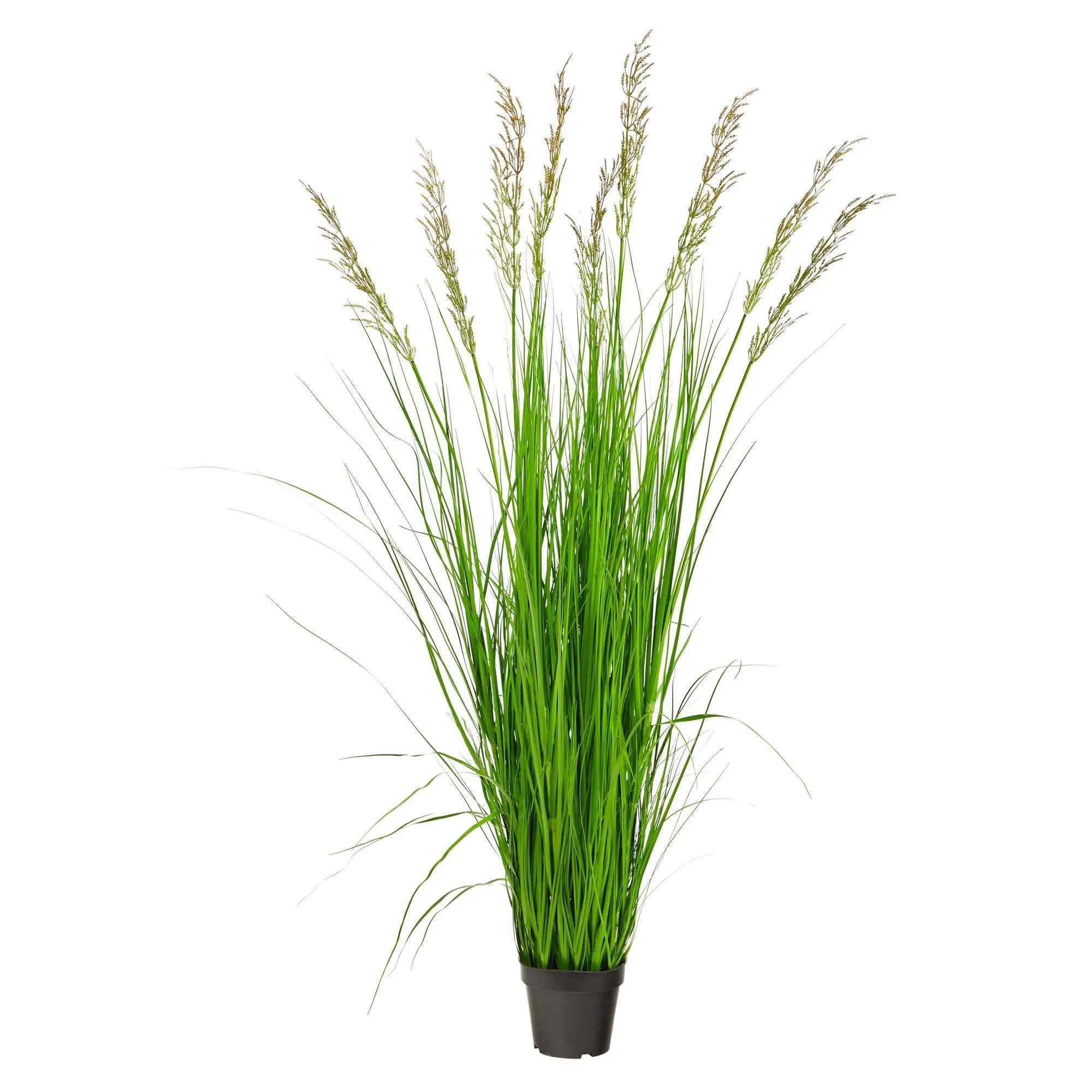 5.5ft Artificial Plum Grass Plant, Decorative Grass with Realistic Foliage Blades for Bedrooms, Home Improvement & Garden Supplies, Grass Blade