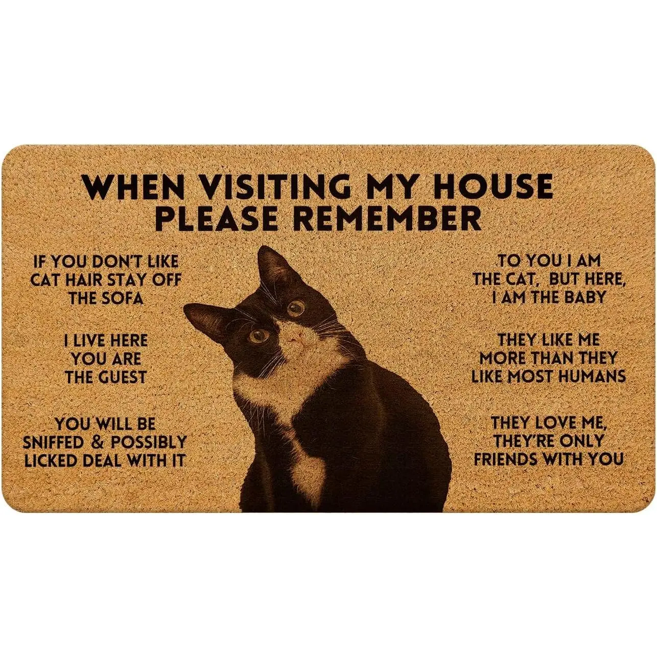Cat Door mat,When Visiting My House Please Remember cat,Funny cat Front Door mat,Black cat Door mat Outside Entrance,cat Welcome mat,Funny Door mats Outside  Doormat 17x30 inch