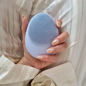 2025 Best Wholesale Price Sonic Facial Brush Waterproof IPx6 Face Cleaning Brush Skin Care Exfoliators Face Brush for Home Use