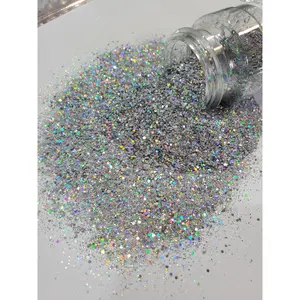 "Twinkle in Time" / Chunky Polyester Glitter / Chunky Glitter / Holographic Chunky Glitter / Silver Chunky Glitter