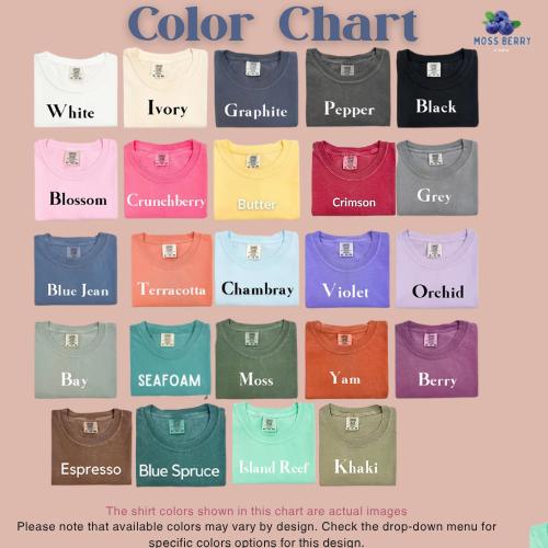 Comfort Colors WDNC Club T-Shirt – We Do Not Care Shirt, Funny Menopause & Perimenopause Tee for Women, Trendy Quote Gift Idea