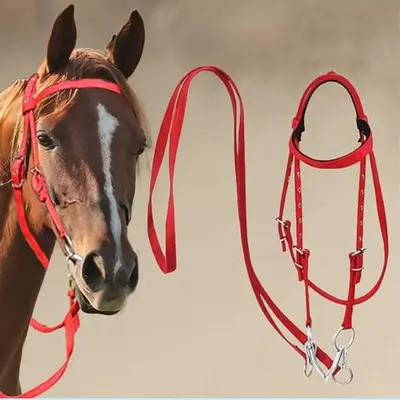 Aazon.co: Handade Leather Horse Whip. Cuarta Charra Fina, Chicote Charro, Rawhide Horse Quirt