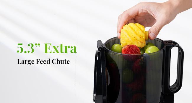 GDOR Cold Press Juicer with 5.3" Wide Feed Chute 150NM Powerful Motor Slow Masticating Extractor High Juice Yield Easy to Clean Fits Whole Fruits & Vegetables Black