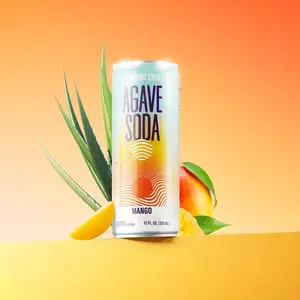 Mango Premium Agave Soda 6-Pack Fruit flavored Beverage sweetened with Organic Agave Syrup Sugar