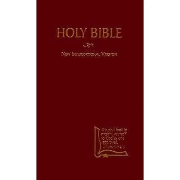 USED-Holy Bible New International Version: Drill Bible Burgundy (Niv Drill Bible) by Bible (Hardcover)