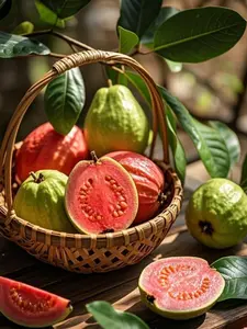 50 Guava Seeds – Grow Sweet and Juicy Guava Fruit at Home, Perfect for Pots, Balconies, and Backyard Gardens