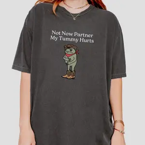 [Sale up to 30%] Comfort Colors Not Now Partner My Tummy Hurts Shirt IBS Lactose Intolerant Frog Toad Unhinged TShirt Gen Z Meme Funny Shirt