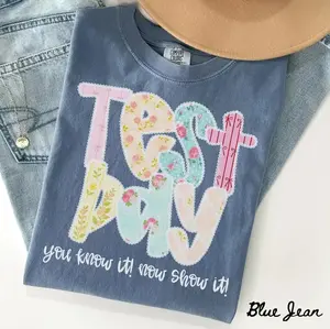 Comfort Colors Test Day Shirt, Teacher State Testing T-Shirt, Testing Coordinator Life Tee, Inspirational Tee Short Sleeve, Funny