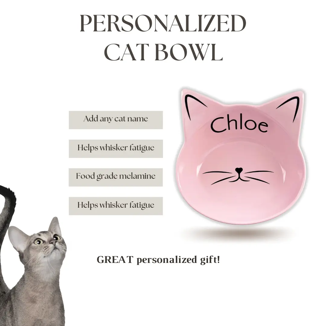 Custom Cat Bowl - Personalized with your cat name. Cat dad gift, cat mom gift, pet bowl, custom cat bowl