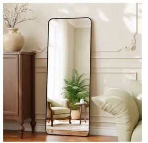 56"x21" Full Length Mirror Rectangular Standing Floor Mirror with Round Corner, Black