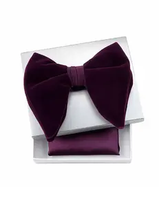 PURPLE BUTTERFLY VELVET BOW TIE