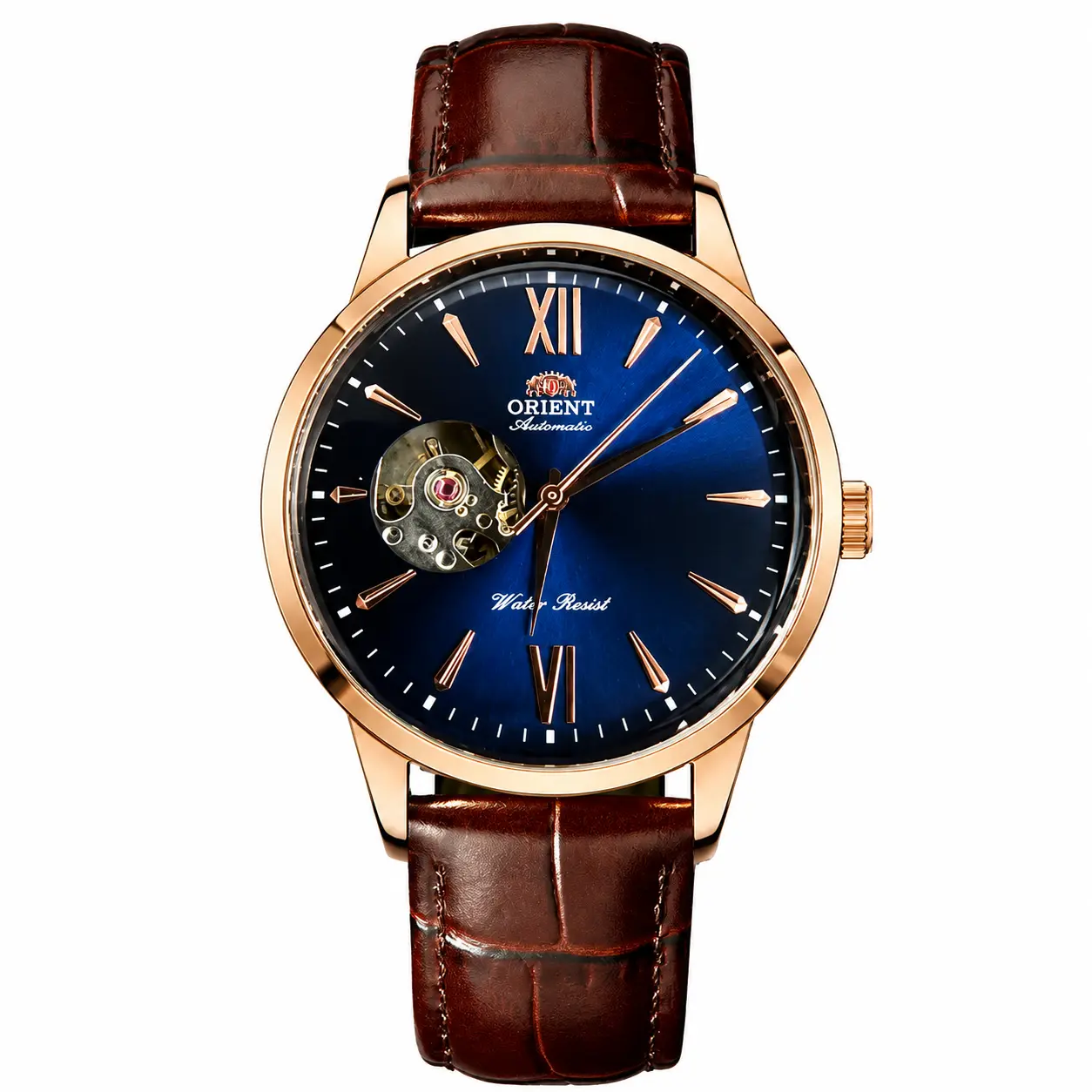 Vanstyle Casa Classic Men's Automatic Mechanical Wrist Watch Collection - Assorted Colors, Gold, Casual Analog Wristwatches for Men