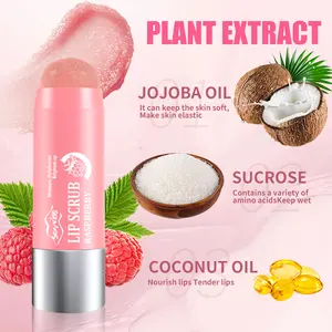 10g Lip Scrub Raspberry & Coconut Cleansing Sugar Polishing Stick for Brightening Lip Color Compact Smooth Lip Care