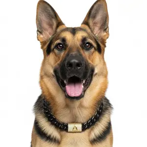 Luxury Pet Necklace – 18K Gold Plated Cuban Chain, Dog Collar, Custom A-Z Initial, Heavy Duty Bling Dog & Cat Collar, Perfect Gift