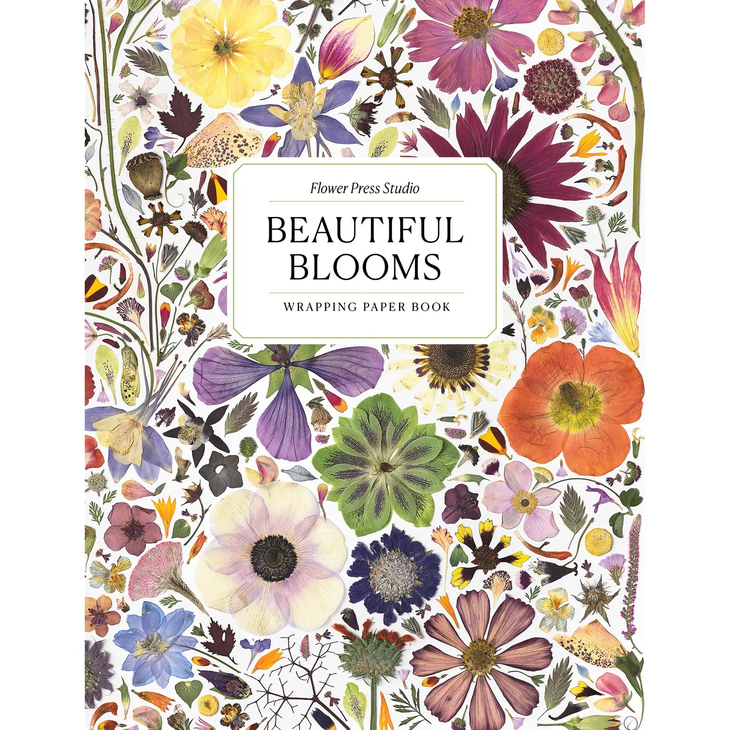 The Flower Press Studio Wrapping Paper Book by Rachel Parri, Keith Kralik [Paperback Book]