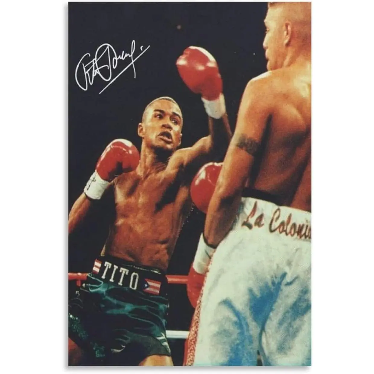 Felix Trinidad Canvas Poster Print Photo Art Painting Canvas Poster Home Decorative Bedroom Modern Decor Posters