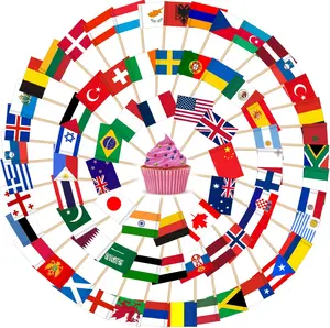 Different Countries Toothpick Flag, 100 Pcs Mini Flags on Sticks for World Cup, Flag Cupcake Toppers for Olympics Party Decorations, International Toothpick Flags Cocktail Picks