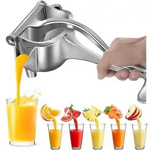 Manual Juicer, Stainless Steel Hand Press Juice Extractor, Ergonomic Handle, Efficient for Grapes, Citrus, Durable, Compact, Easy to Clean, Outdoor, Picnic, Kitchen Use