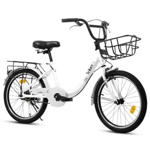 A20182  20 Inch Kids Bike for Boys & Girls, Children's Bicycle with Coaster Brake & V-Brake, 1-Speed, Chain Guard & Rear Rack, Lightweight Steel Frame