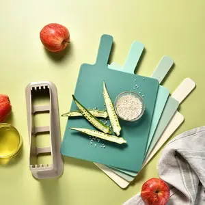 Kitchen Cutting Board Set, Non-slip Plastic Chopping Board with Holder, Food Preparation Tool for Meat & Fish, Kitchen Accessories