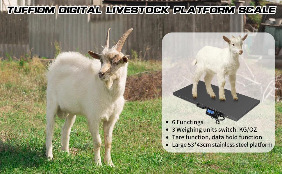 [FLASH SALE] 1100 LBS x 0.2 LBS Livestock Scale Electronic Platform Scale for Dog Goat Sheep Black
