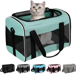 Airline Approved Soft-Sided Cat Carrier | Collapsible Pet Travel Carrier for Small Dogs & Cats Up to 15 lbs (Green)