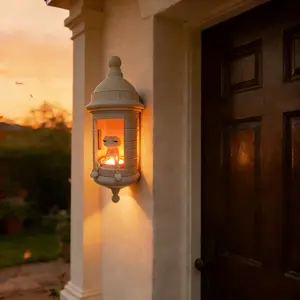 BORILUME RGB Coquí Wall Lamp, LED Color Changing Gecko Light, Puerto Rican Style Wall Decor for Bedroom, Gaming Room & Office