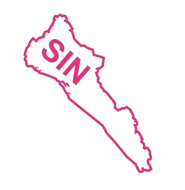 Mexican State Map Outline Sinaloa Vinyl Decal Sticker UV & Waterproof Bumper Window Laptop Automotive Water Bottle Gift accessories – PINK 6"