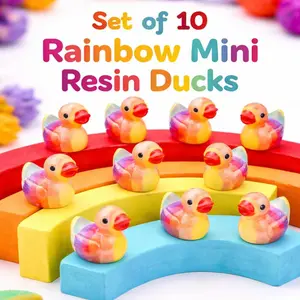 Mini Resin Ducks - Set of 10 Rainbow Mini Resin Ducks, Tiny Figurines, Fairy Garden Decor Pride Ducks