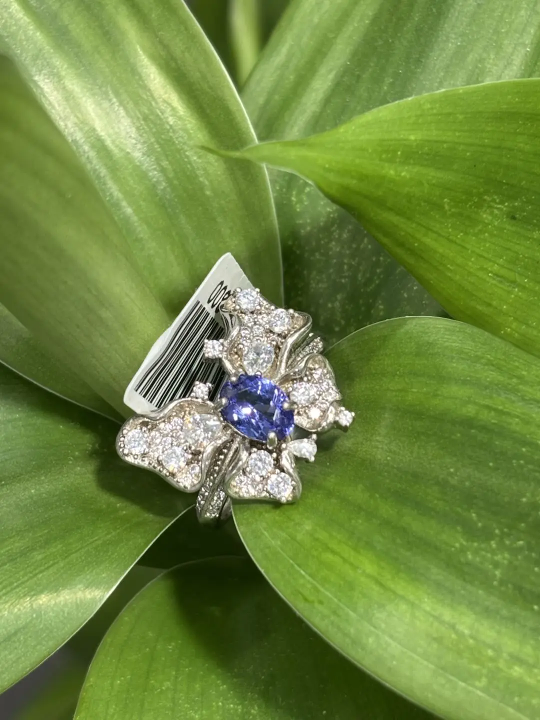 Lena(17808)gc.s925，tanzanite